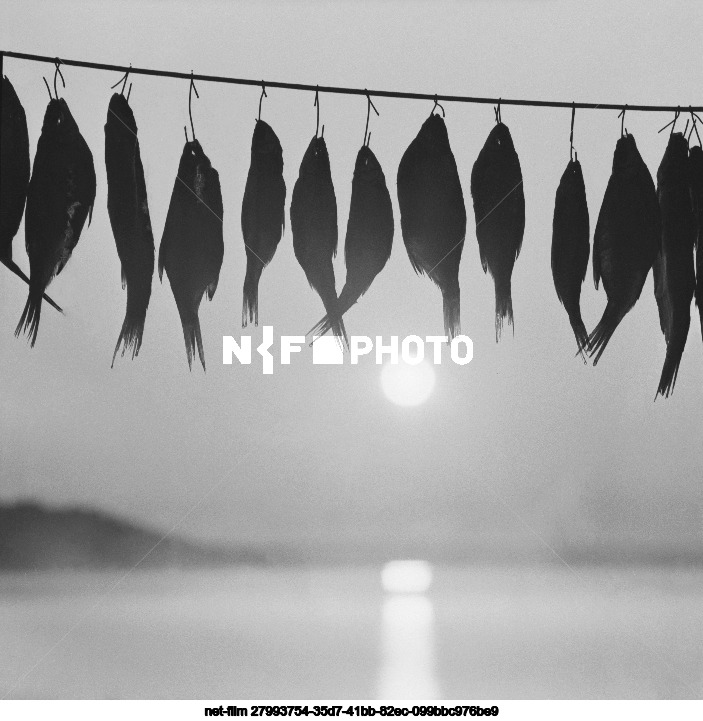 Озеро Селигер