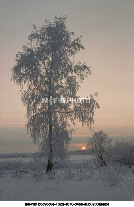 Зима в Тюменской области