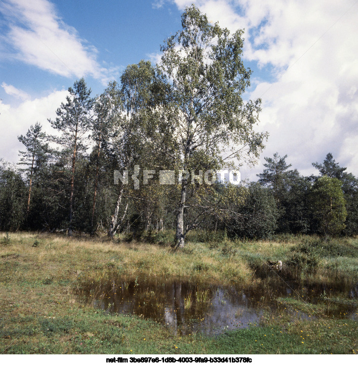 Nature of the Tver region
