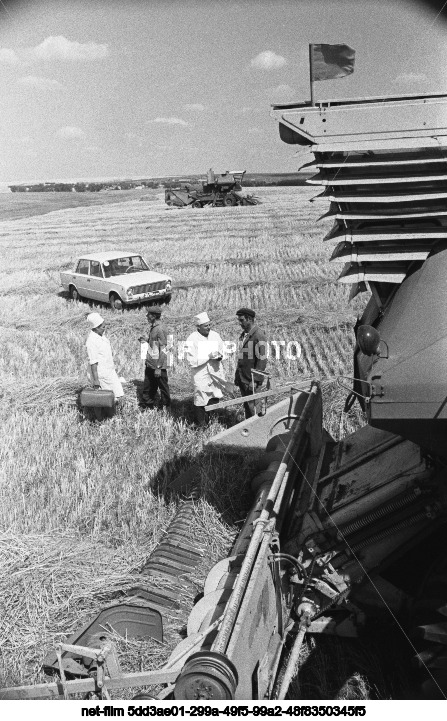 Kolkhoz "Zavety Ilyicha" in Saratov region