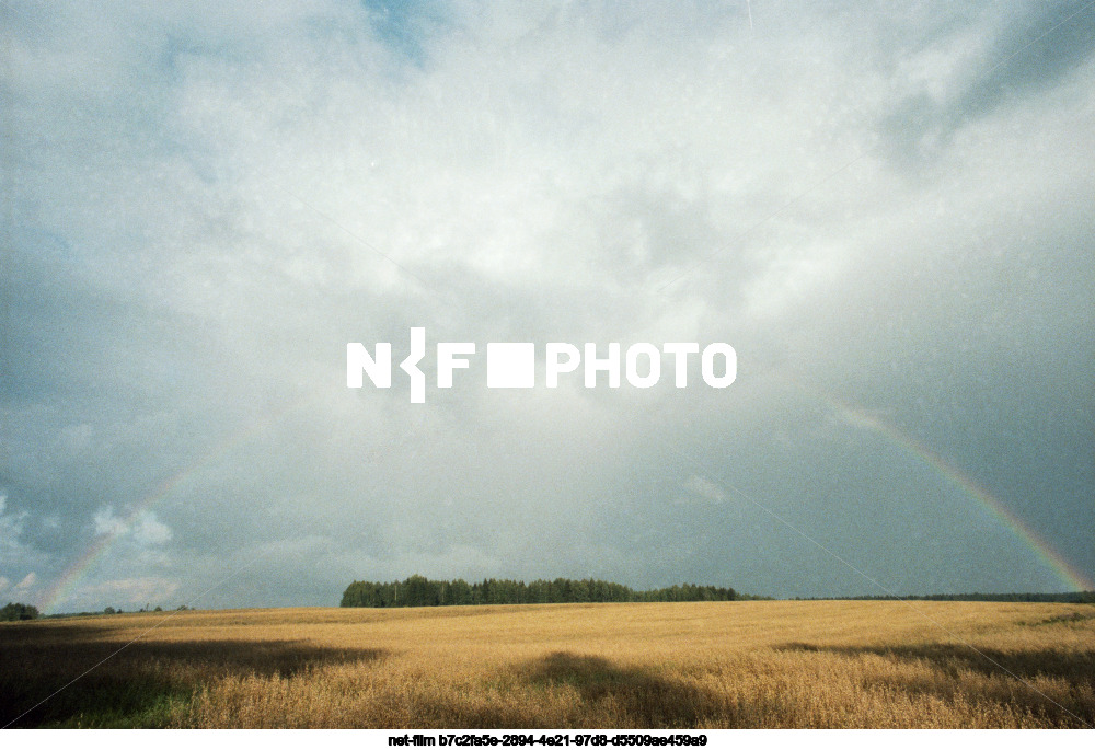 Nature of the Kalinin region