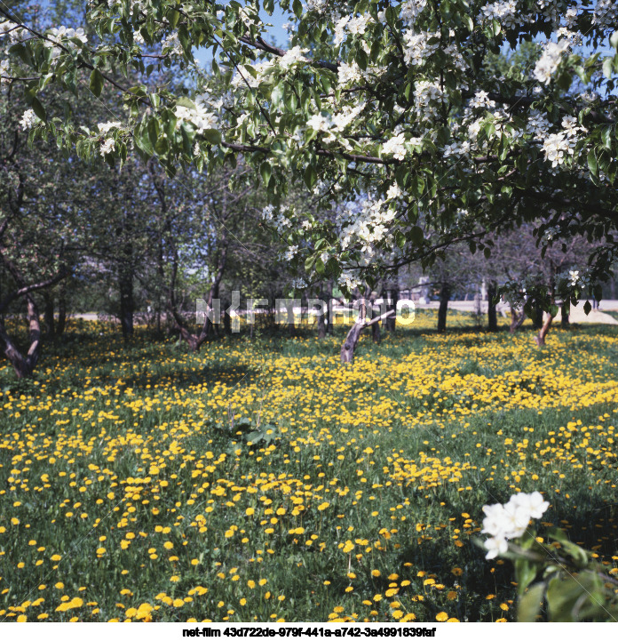 Весна в Смоленской области