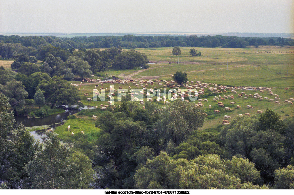 Views of Kursk region