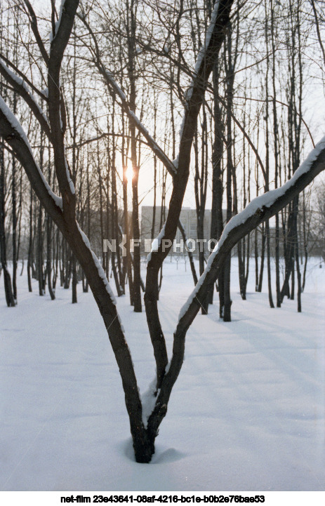 Парк Дружбы в Москве