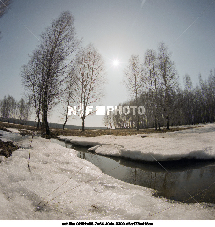 Nature of the Moscow region