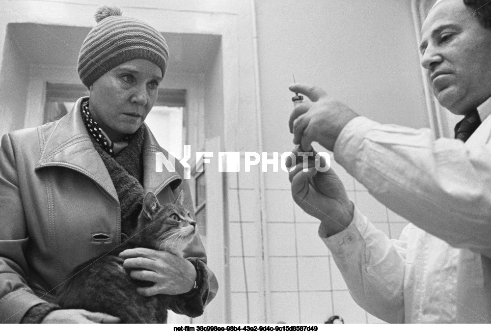 Veterinary clinic in Moscow