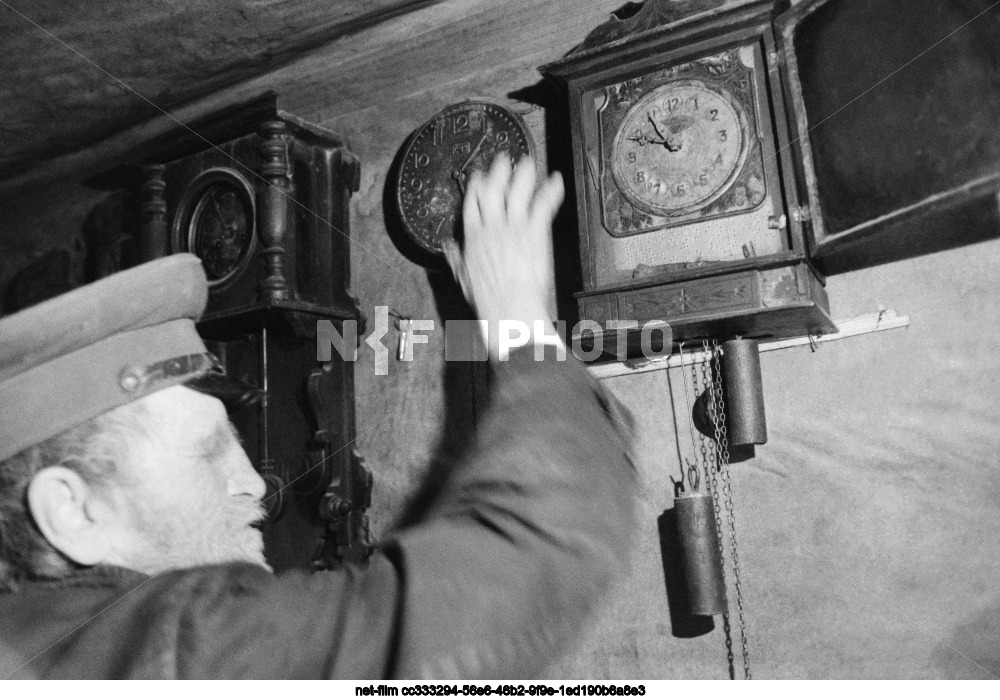 Resident of the village of Sosnovets V.F. Filippov