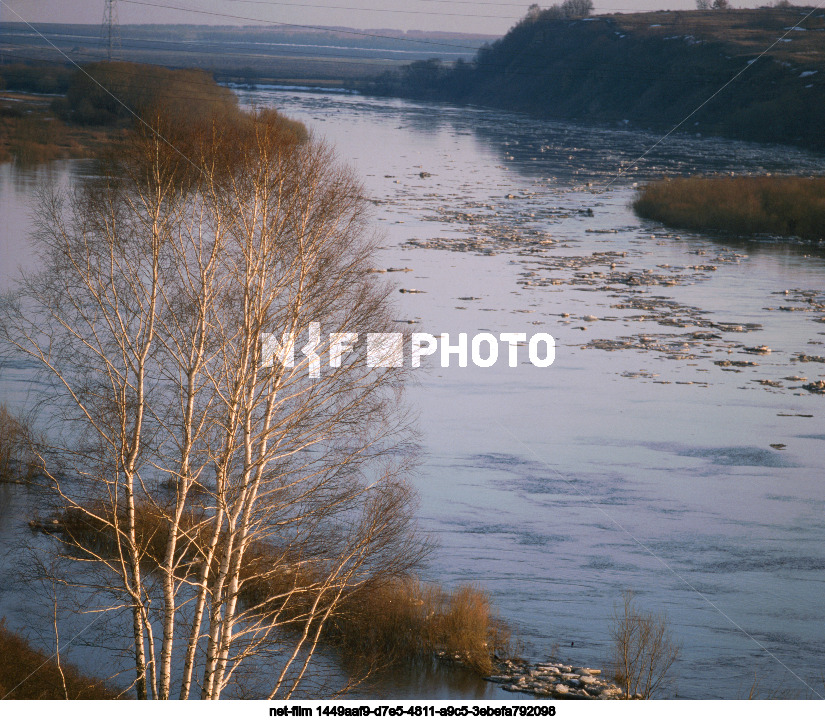 State Nature Reserve "Galichya Gora" in Lipetsk Region