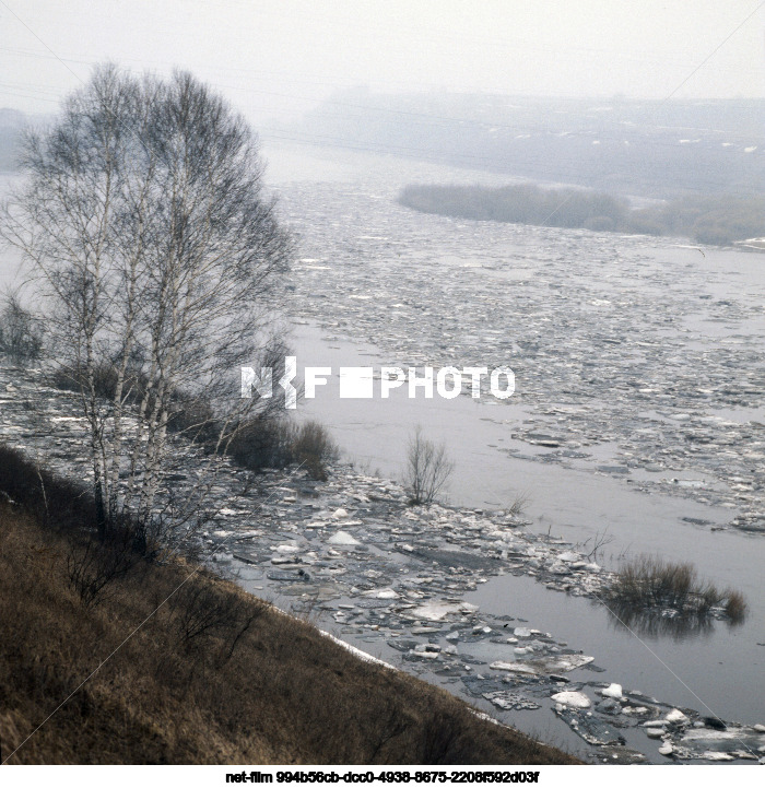 State Nature Reserve "Galichya Gora" in Lipetsk Region