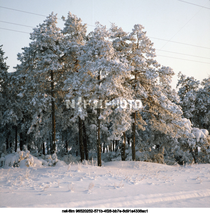 Winter in Kursk region