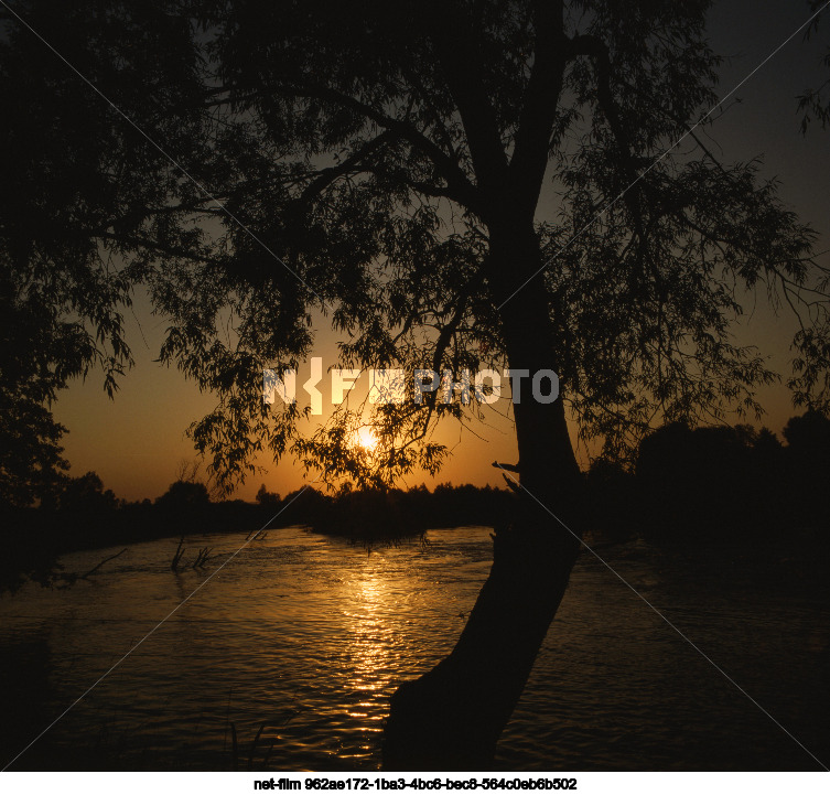 Nature of Kursk region