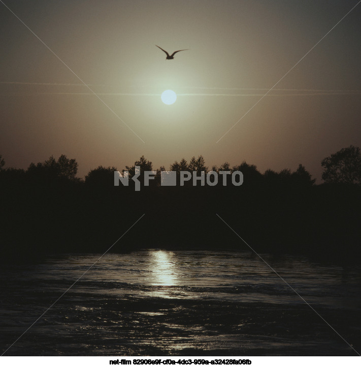 Nature of Kursk region