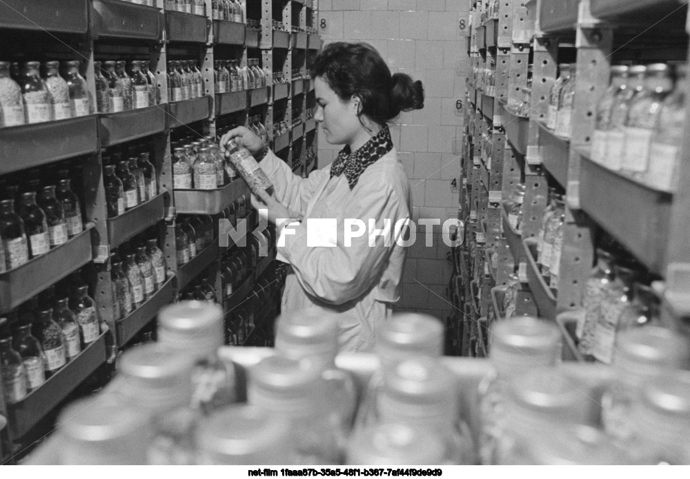 State repository of the world seed collection in Krasnodar region