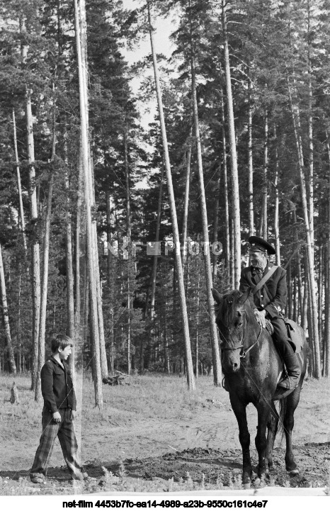 Forestry Department "Buzuluk Bor"