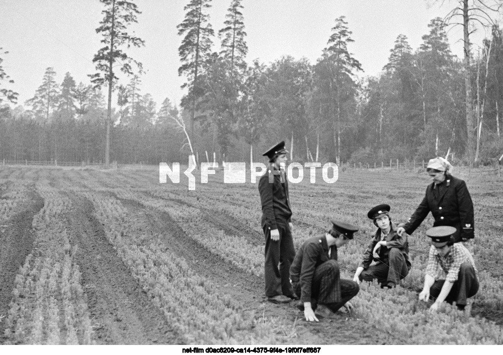 Управление лесного хозяйства «Бузулукский бор»
