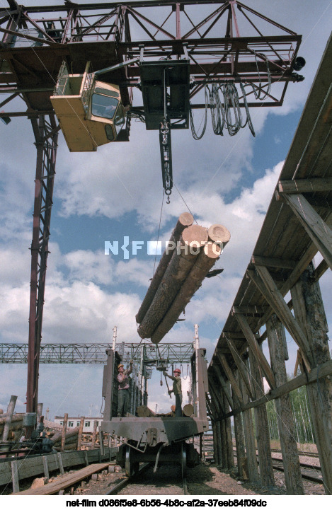 Кунерминский лестрансхоз в Иркутской области