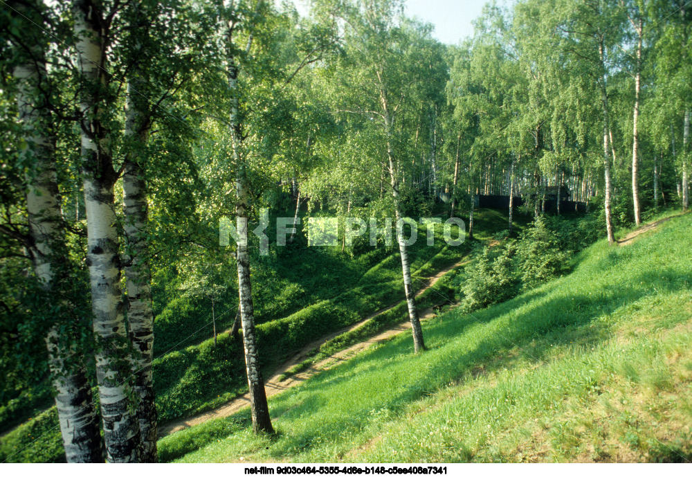 Nature of the Yaroslavl region