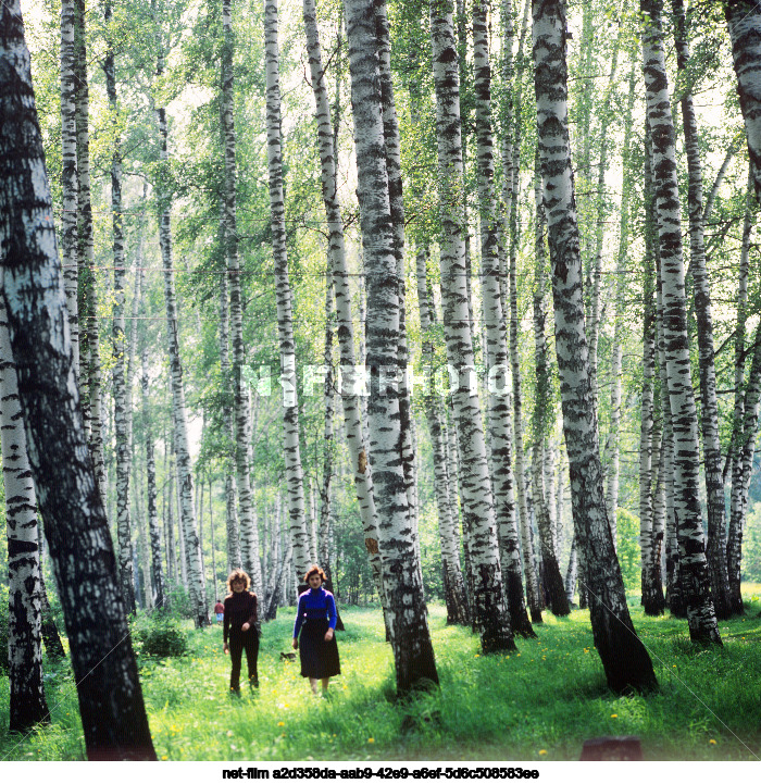 Views of the Yaroslavl region