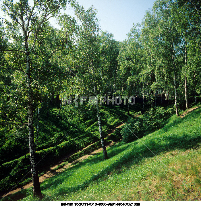 Природа Ярославской области