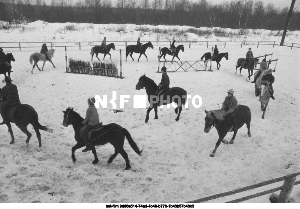Школа верховой езды при совхозе "Новгородский" Новгородской области