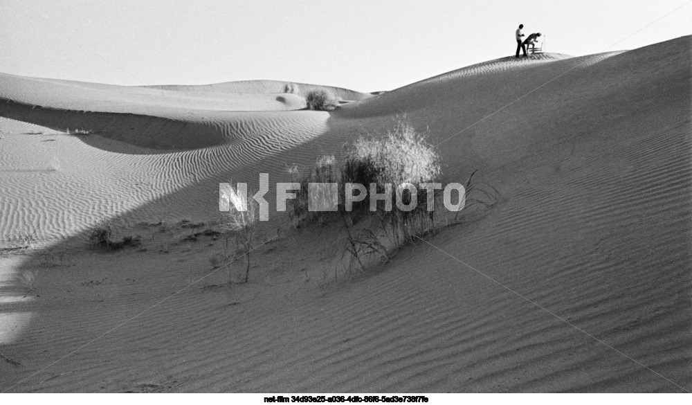 Repetek station of the Institute of Deserts of the Academy of Sciences of the Turkmen SSR in the Chardzhou region