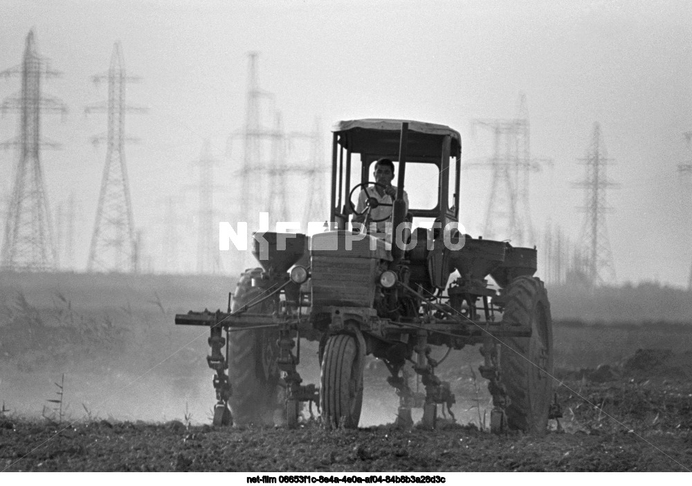 Колхоз "Победа" в Туркменской ССР