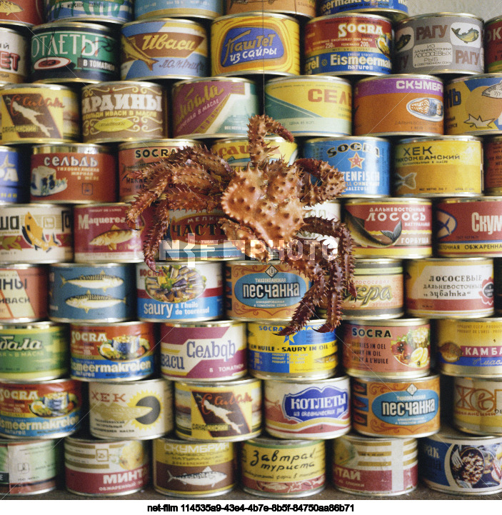 Рыбокомбинат "Островной" в Сахалинской области