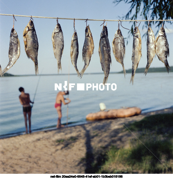 Holidays on Lake Seliger