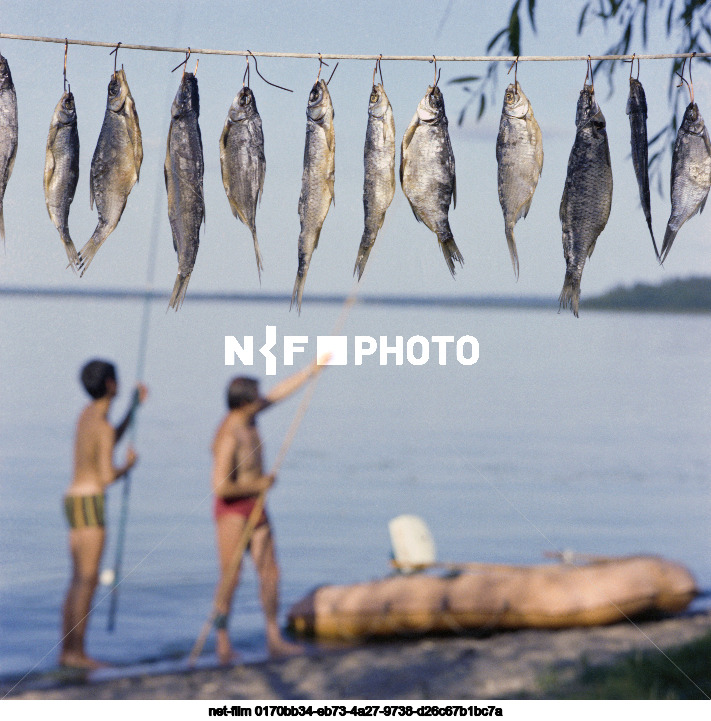 Holidays on Lake Seliger