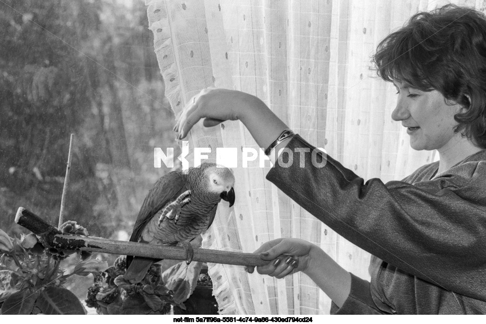 The family of Navigator A.A. Protsenko