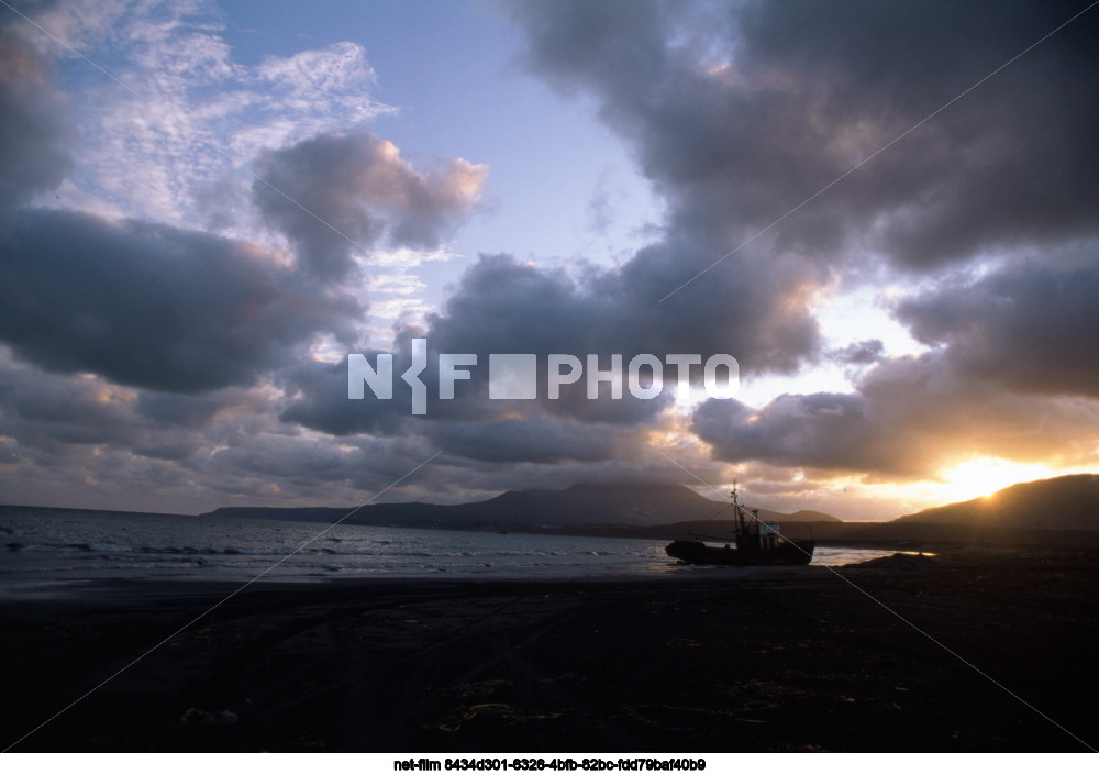 Виды Сахалинской области
