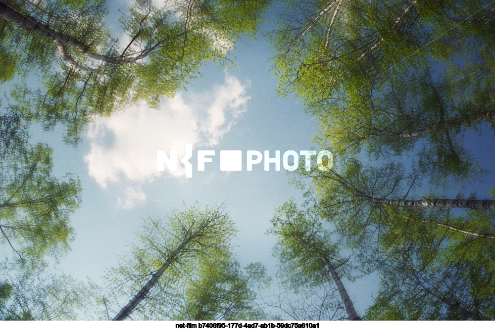 Spring in the Moscow region