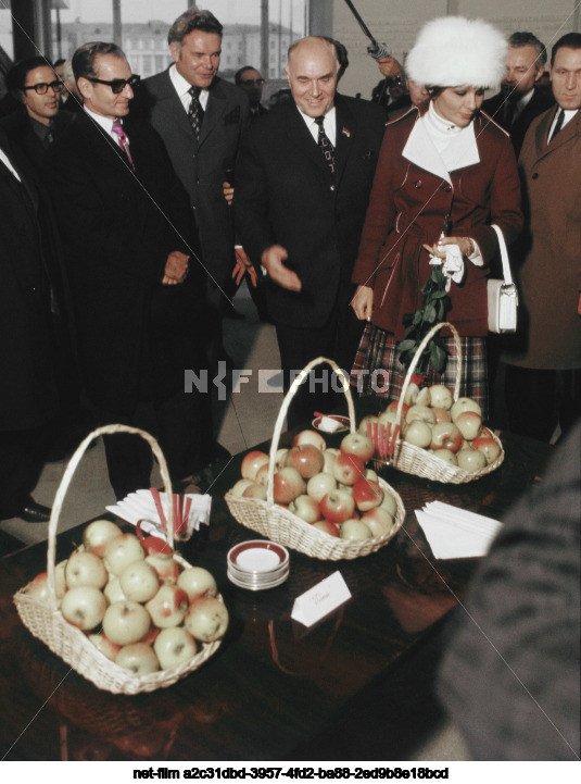 Official visit of M.R. Pahlavi to the USSR