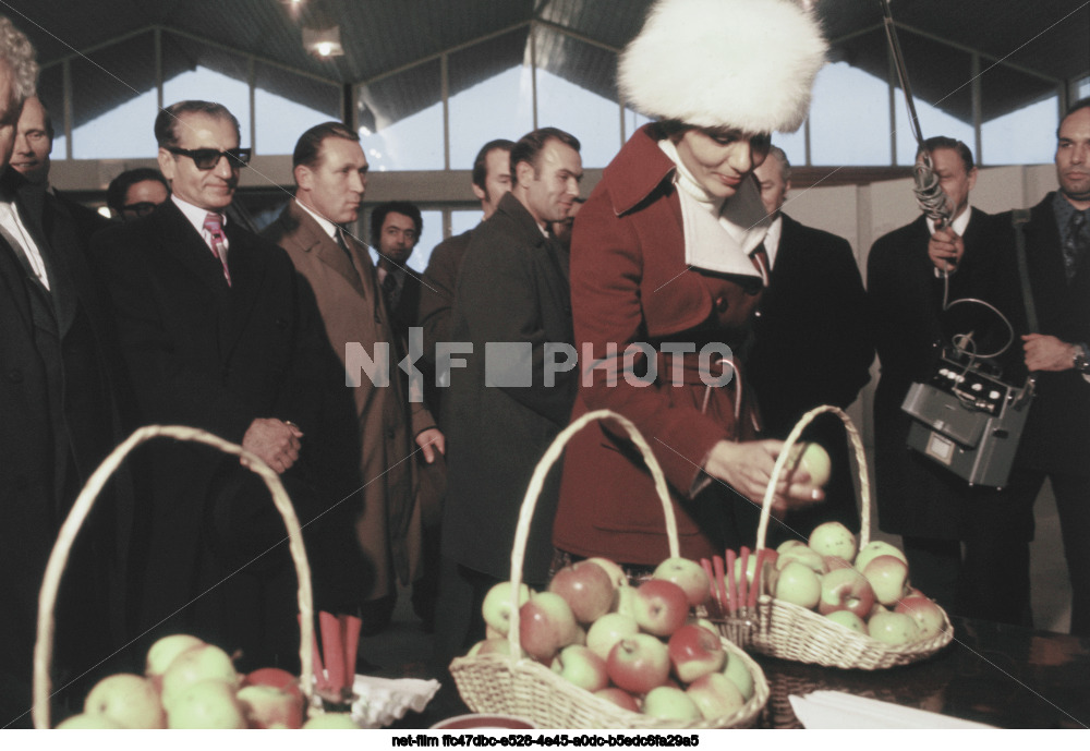Official visit of M.R. Pahlavi to the USSR