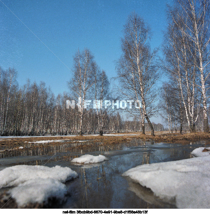 Nature of the Moscow region