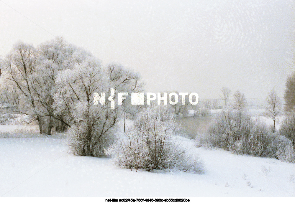 Spring in Kursk region