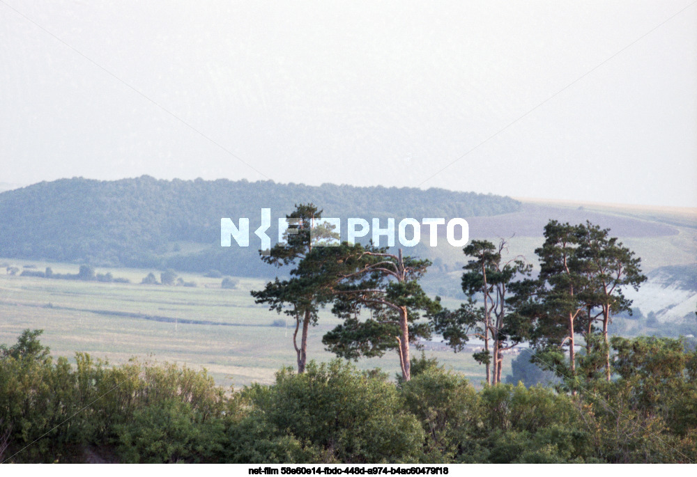 Nature of Kursk region