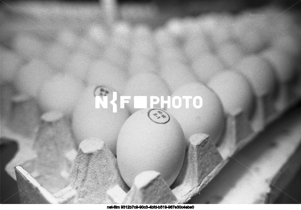 Tomilinsky poultry farm in Moscow region
