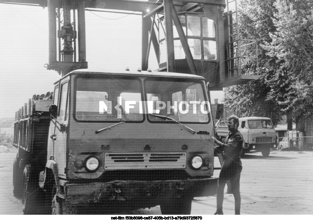 Harvesting beets in Kursk region