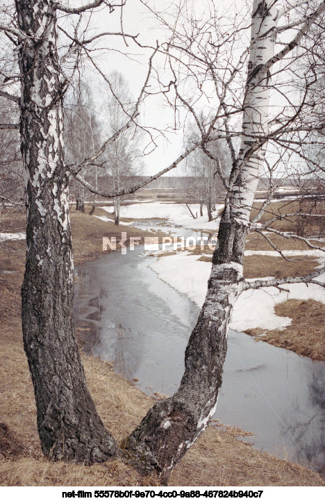 Природа Тюменской области