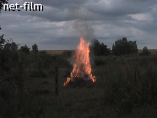 Movie The day that returned. (2012)