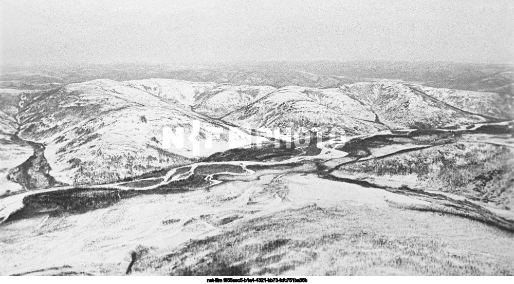 Природа Амурской области