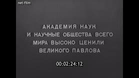Кадр видео