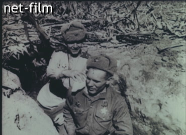 Footage A dove on a soldier's shoulder in a trench. (1944-1945)