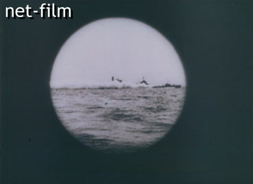 Footage Northern Fleet of the USSR. (1941)
