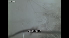 Footage frame