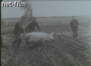 Footage German troops in the occupied territories of the Arctic. (1941)