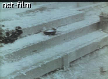 Footage Klooga concentration camp. (1944)