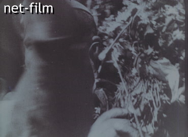 Кинохроника Возвращение советских солдат с фронта. (1945)