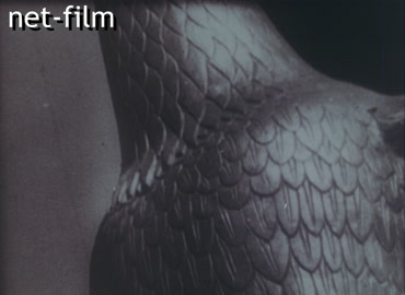 Footage Hitler in Nuremberg. (1936-1936)